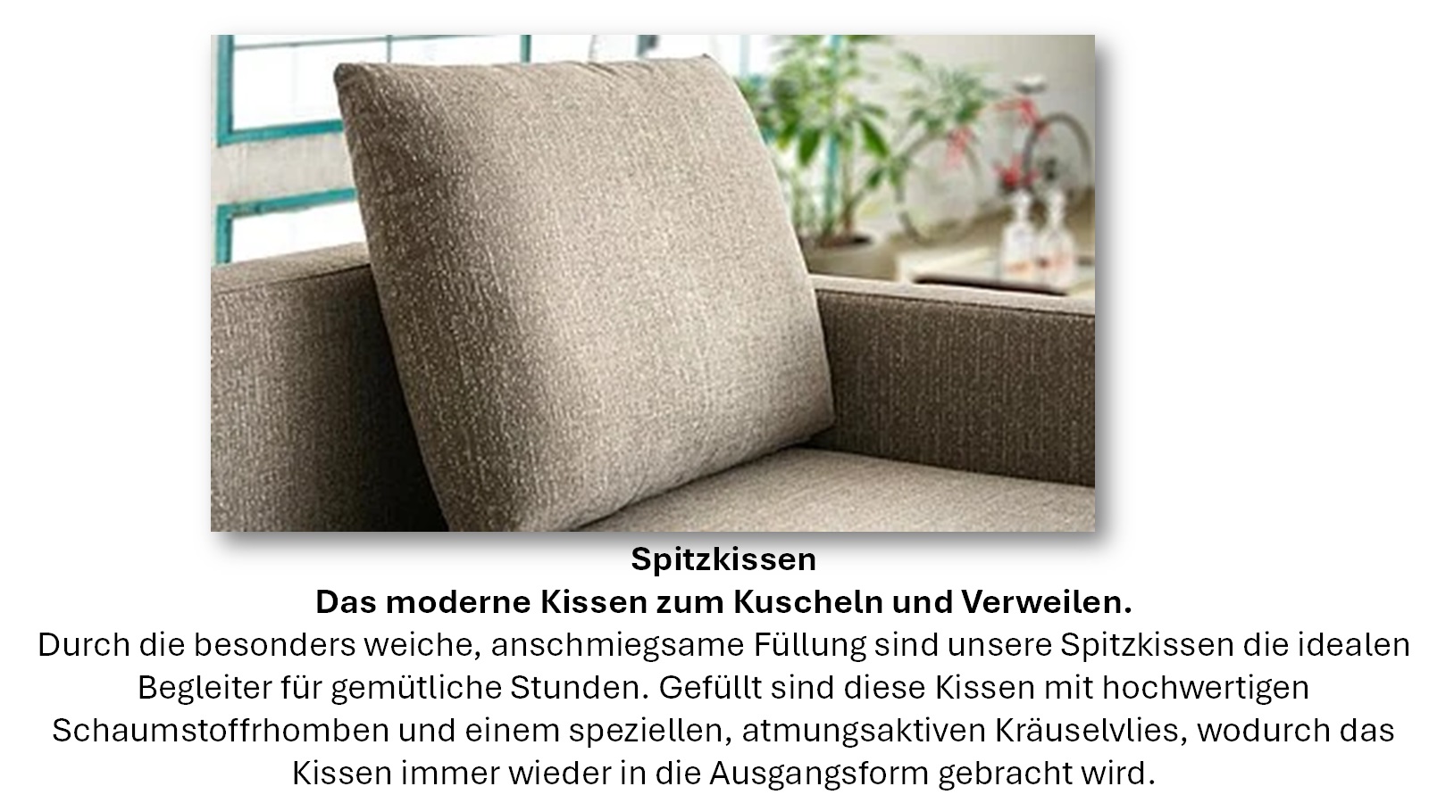 Spitzkissen