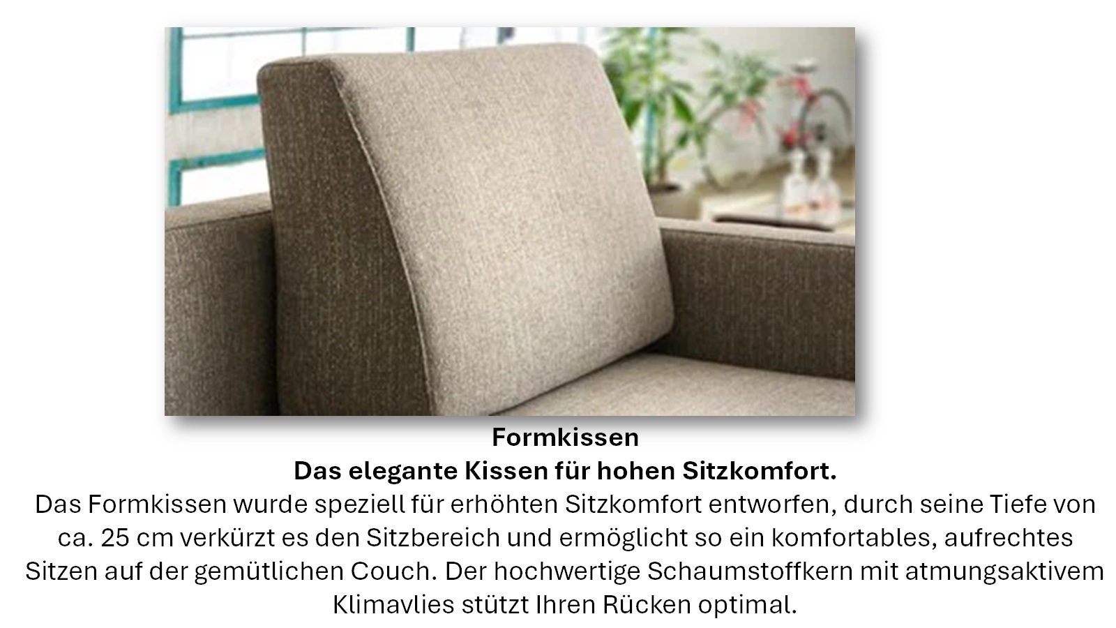 Formkissen